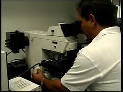 Scientists develop bug free tequila News Clip