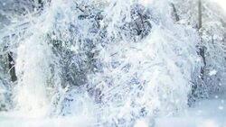 First snow in a park loop Stock Footage