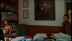 Italian court to rule on Berlusconi immunity law Instructional Video