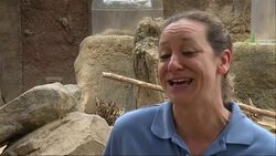 The Houston Zoo held an Easter egg hunt for some of its residents Friday, with the mongoose getting the first crack at it. (April 3)      News Clip