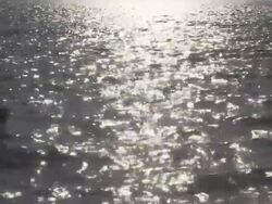 Kayaking with sparkling waves on East Bay Stock Footage