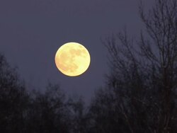 Moon motion Stock Footage