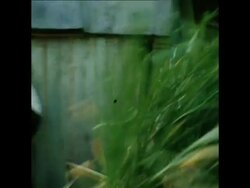 SYND 06/06/74 DEMONSTRATION BY STUDENTS IN WHICH GOVERNMENT OFFICIALS WERE KILLED News Clip