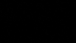 CLEAN : Trump: Real parallel between Brexit vote and his own campaign News Clip