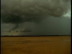WA forest covered bank across very wide dirty river, grey stormy sky, Amazon, South America Stock Footage