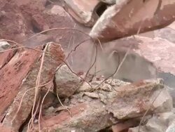 CU Demolition of crushing machine at quarry by bulldozer / Taben-Rodt, Rhineland-Palatinate, Germany Stock Footage