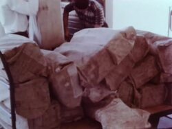 IRS workers process tax returns Stock Footage