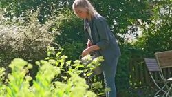 Watering plants Stock Footage