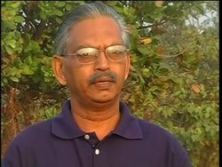 Surya Yoga followers claim gazing into the sun leads to a healthy life News Clip