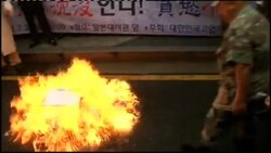 Anti-Japan protesters burn flags, tear up photos of Japanese leaders Instructional Video
