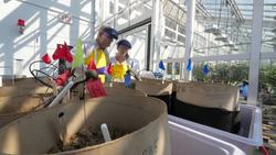 Phytotron facelift facilitates cutting-edge research on plants Instructional Video