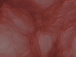 Organic Tissue Stock Footage