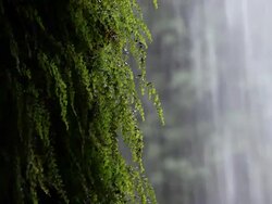Waterfall Stock Footage