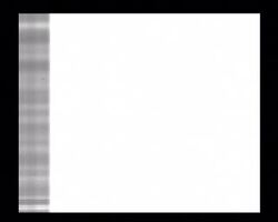 ROYAL SILVER WEDDING News Clip