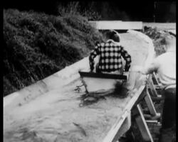 FOLLOW THE LOGS! News Clip