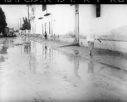 The Synod of Bishops in Rome underlines the crisis of conscience in the Catholic Church and puts Papal Authority to the question. Â® Crisis of a more physical kind in Tunisia where the recent floods le News Clip