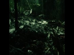 SYND 12 9 76 AIR CRASH SCENE AND WRECKAGE News Clip