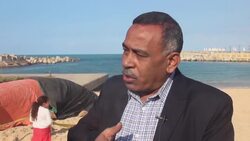 Dead whale found on beach in Egypt Instructional Video