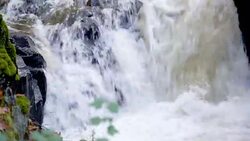 Autumn Stream Stock Footage