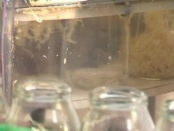 Glass jar with pickled cabbage on conveyor line Stock Footage