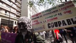 Hundreds march in Paris against Monsanto, GMOs News Clip