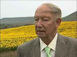 Daffodils harvested to produce a drug to fight Alzheimer's disease News Clip