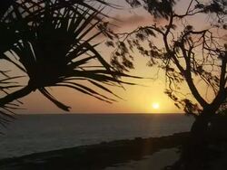Medium Long Shot tilt-down - The sun sets over the ocean near Heron Island / Heron Island, Australia Stock Footage