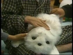 JAPAN: ROBOT THERAPY (V) News Clip