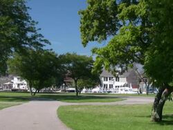 Summer Landscape. City park. Recreational area. Sporting activity. People relaxing. Stock Footage