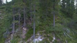 Aerial shot flying over a forest Stock Footage