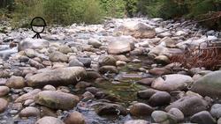 Are These Butterflies The Same? Instructional Video