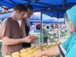MS Shot of Couple sampling fruit in market / Kota Kinabalu, Sabah, Malaysia  Stock Footage