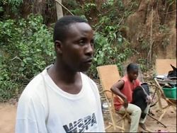 Sanctuary for bonobo apes in DRC News Clip