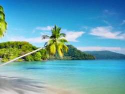Tropical beach. Stock Footage