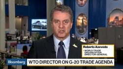 WTO Director General on Hopes for the G-20 Summit News Clip