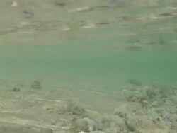 Tropical Island from the surfline Stock Footage