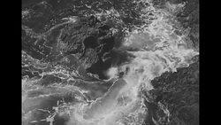 Seabirds on ocean cliff in Scotland News Clip