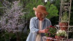A young woman brings her senior mother a potted plant for her garden. Stock Footage