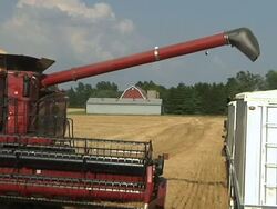 WS ZI Harvested winter wheat being transferred from  combine unloading auger to grain hauling truck / Dansville, Michigan, United States Stock Footage