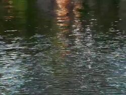 Scenes From A River In Japan Stock Footage