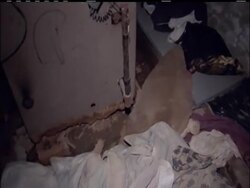 Philadelphia police have taken two more children into protective custody as they investigate the suspects charged with locking disabled adults in a dank basement as part of a Social Security fraud scheme. News Clip