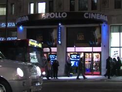 EVENT CAPSULE REPORTER/CHYRON: I Am Number Four UK London Premiere 1/30/2011 Stock Footage