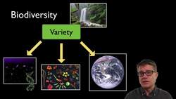 Loss of Biodiversity Instructional Video