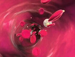 Animation of the flow of blood through a blood vessel. Stock Footage