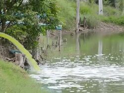 Waste Water Stock Footage