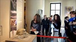 CLEAN : Georgia shows off skull thought to News Clip