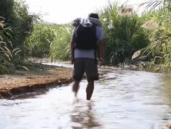 Man walking in the jungle Stock Footage