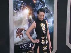 Rinko Kikuchi at Pacific Rim Los Angeles Premiere on 7/92013 in Hollywood, CA. (Footage by WireImage Video/Getty Images Entertainment Video) Stock Footage