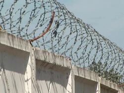 barbed wire in a protected area Stock Footage