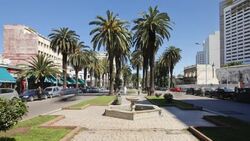Palm trees line Boulevard de Rachidi in Casablanca. Stock Footage